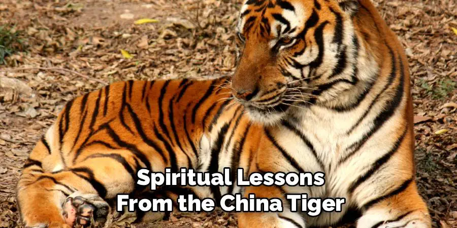 Spiritual Lessons from the China Tiger