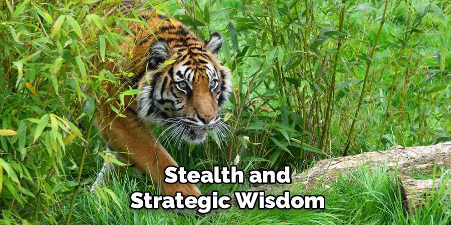 Stealth and Strategic Wisdom