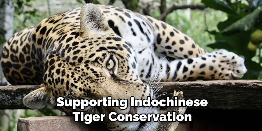Supporting Indochinese Tiger Conservation