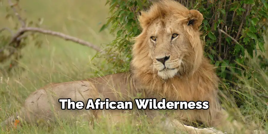 The African Wilderness