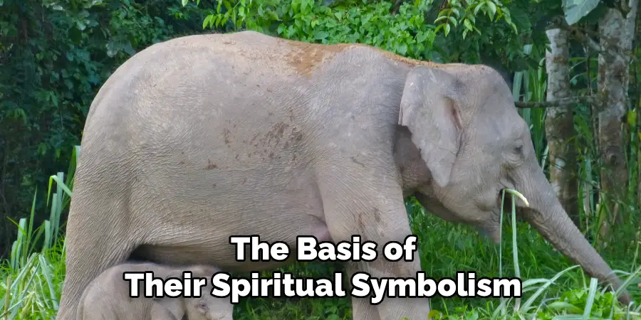 The Basis of
Their Spiritual Symbolism