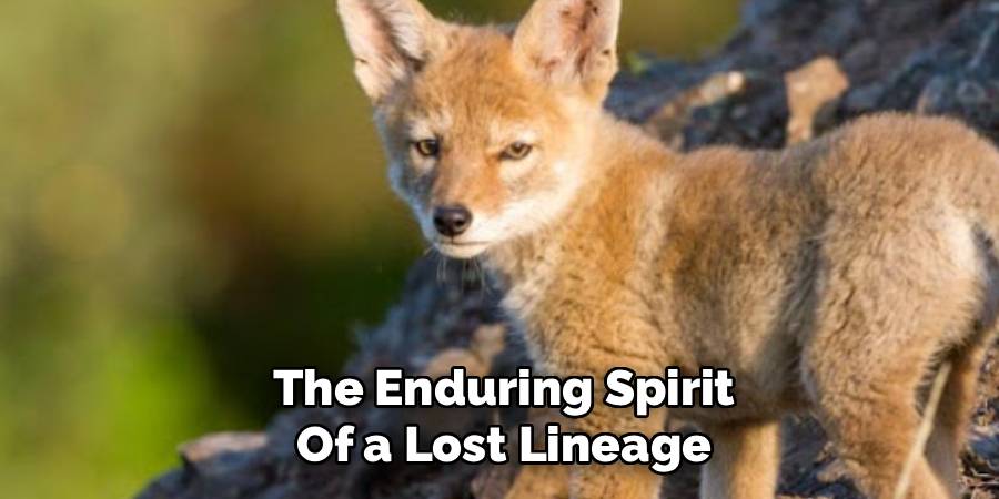 The Enduring Spirit of a Lost Lineage