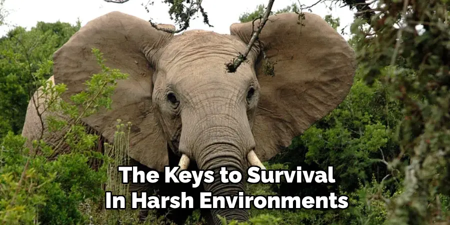 The Keys to Survival
In Harsh Environments