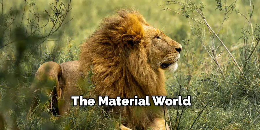 The Material World