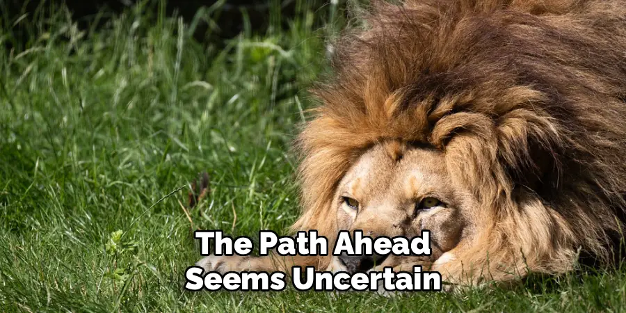 The Path Ahead
Seems Uncertain