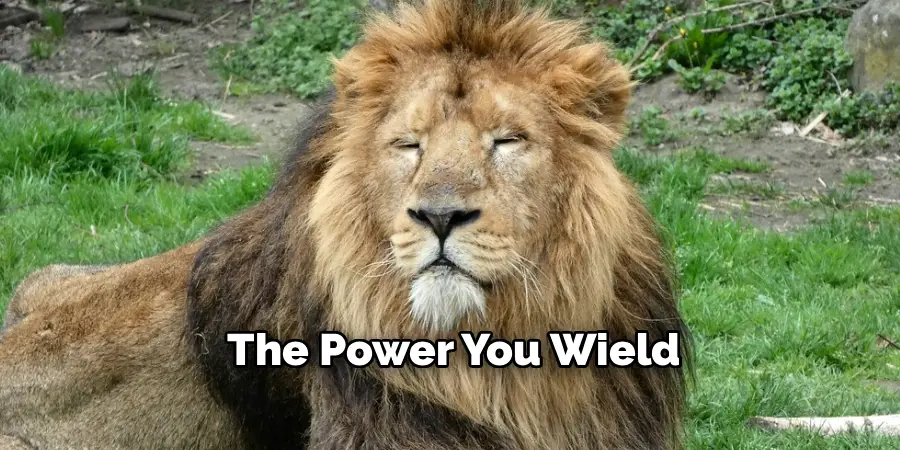 The Power You Wield