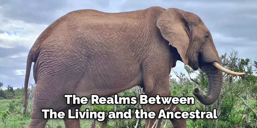 The Realms Between
The Living and the Ancestral