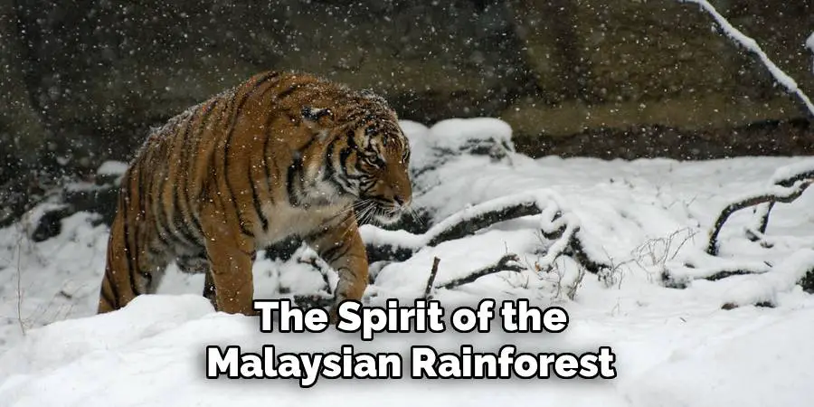 The Spirit of the Malaysian Rainforest