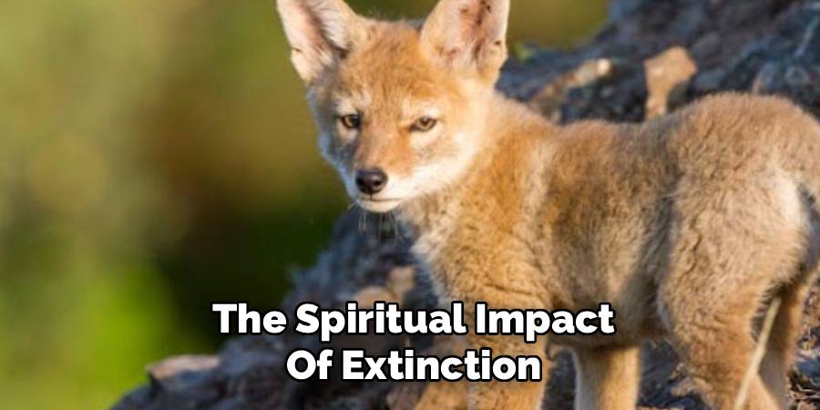 The Spiritual Impact of Extinction