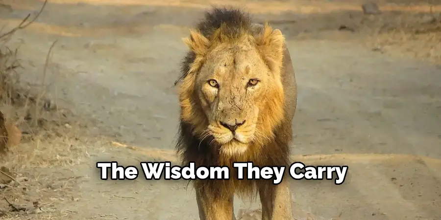 The Wisdom They Carry