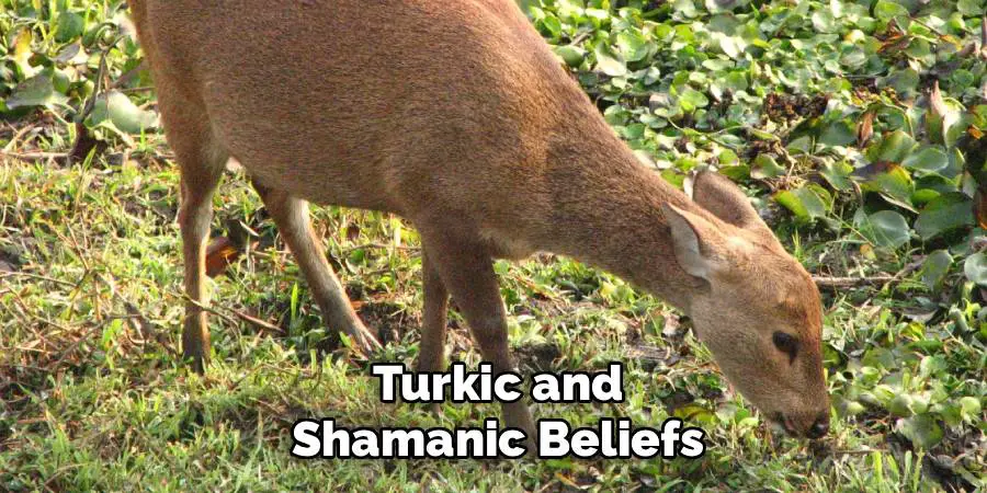 Turkic and Shamanic Beliefs