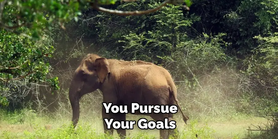 You Pursue
Your Goals