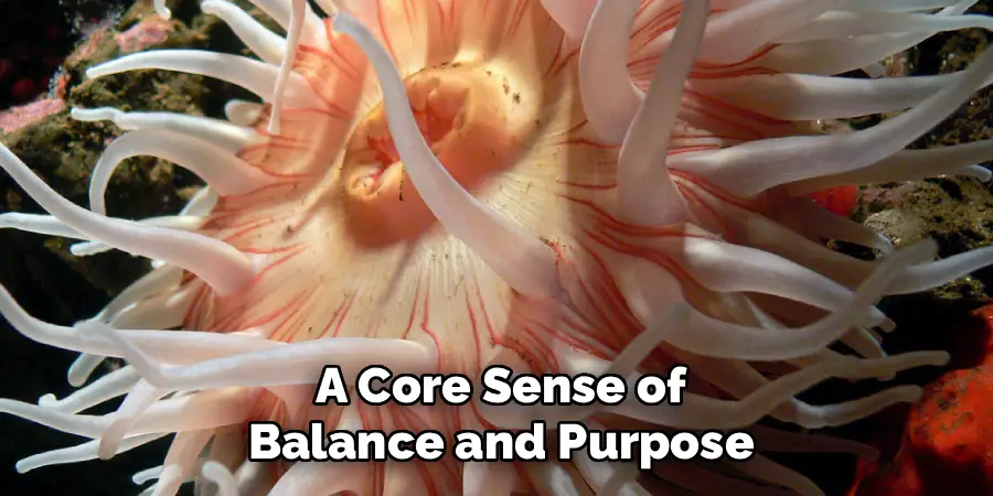 A Core Sense of
Balance and Purpose