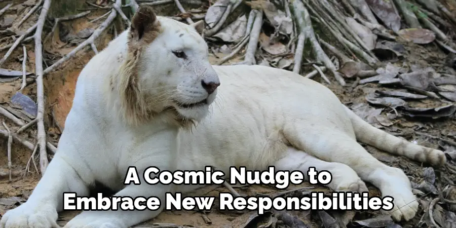 A Cosmic Nudge to
Embrace New Responsibilities