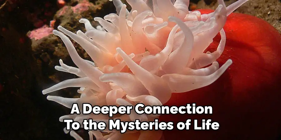 A Deeper Connection
To the Mysteries of Life