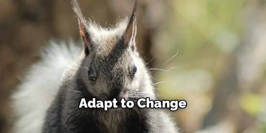Adapt to Change