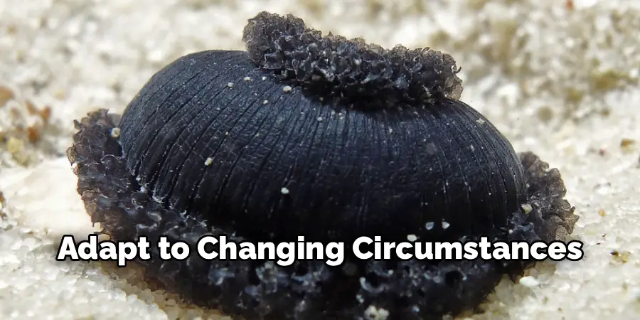 Adapt to Changing Circumstances