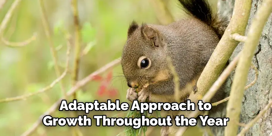 Adaptable Approach to
Growth Throughout the Year