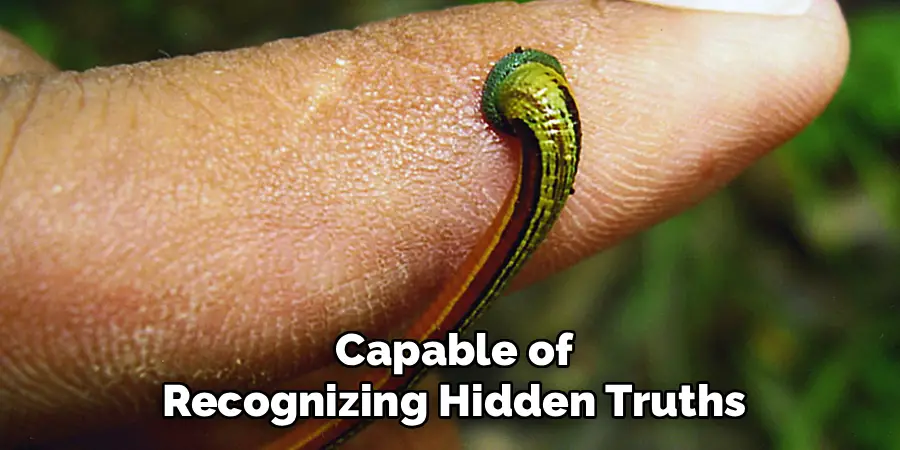 Capable of
Recognizing Hidden Truths