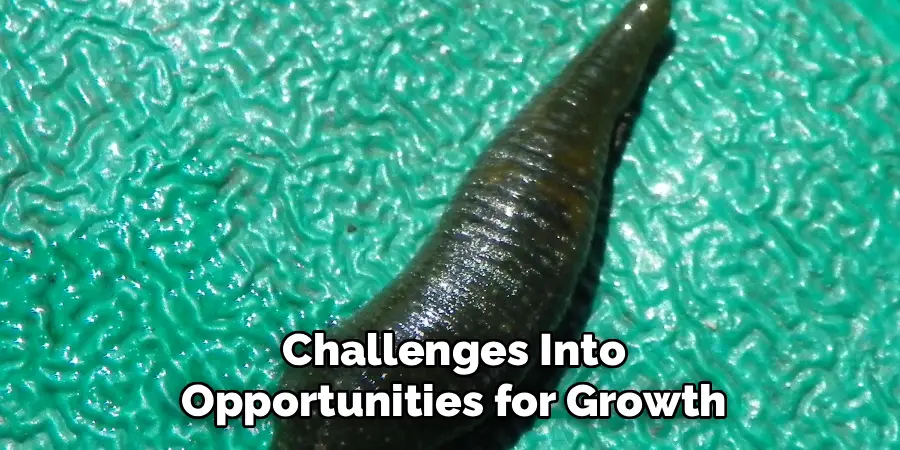 Challenges Into
Opportunities for Growth