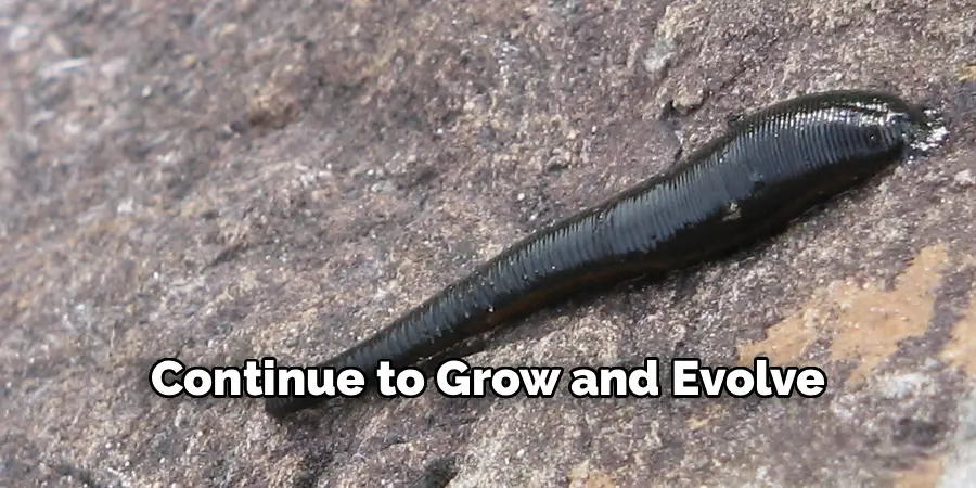 Continue to Grow and Evolve