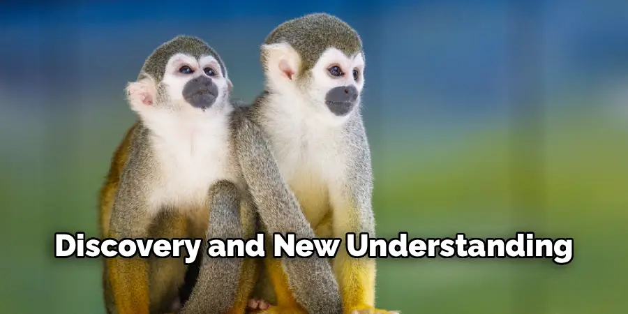 Discovery and New Understanding