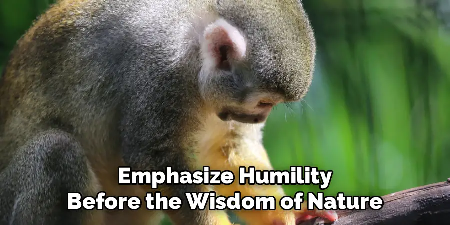 Emphasize Humility
Before the Wisdom of Nature
