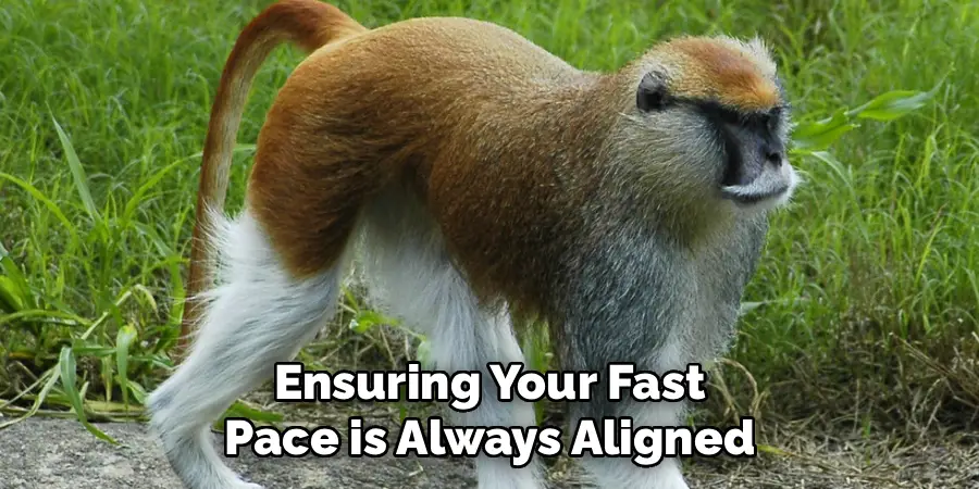 Ensuring Your Fast
Pace is Always Aligned