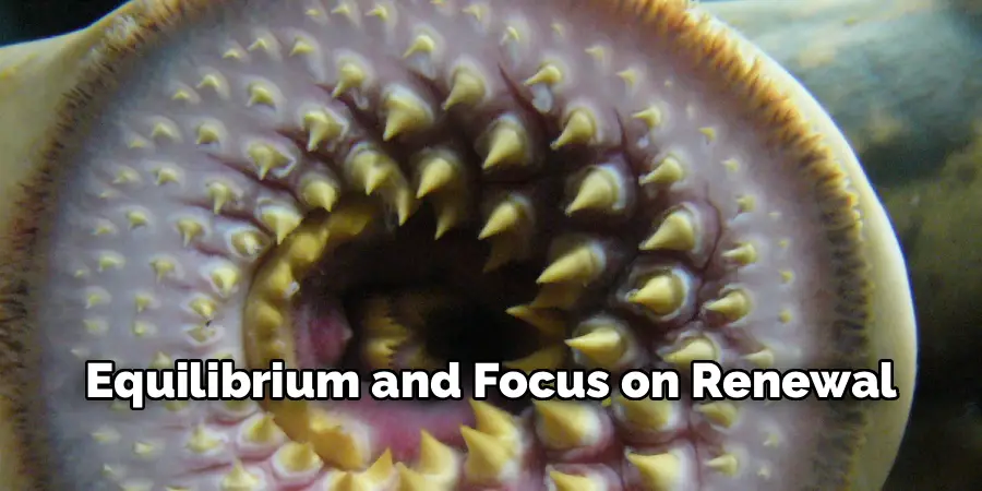 Equilibrium and Focus on Renewal