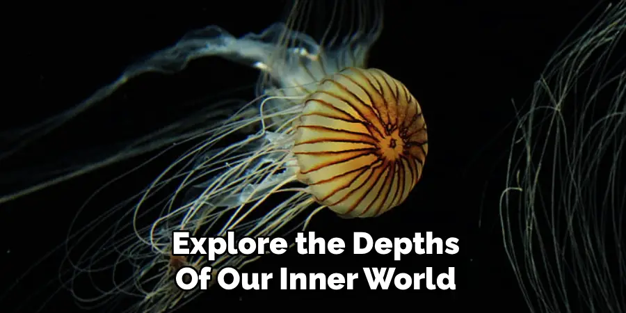 Explore the Depths
Of Our Inner World