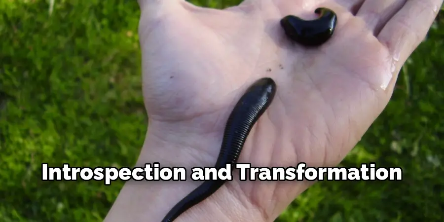 Introspection and Transformation
