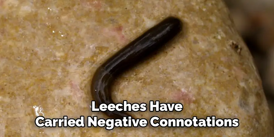 Leeches Have
Carried Negative Connotations