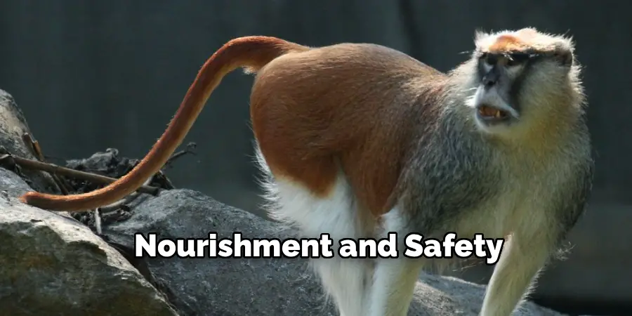 Nourishment and Safety