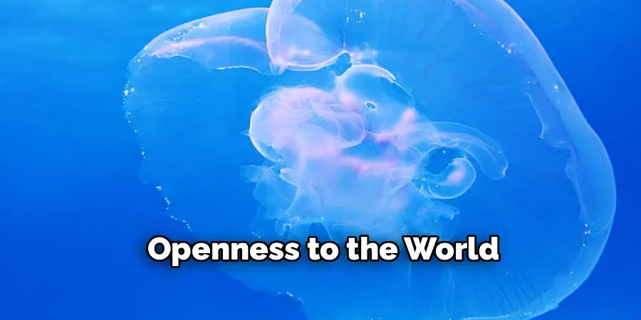 Openness to the World