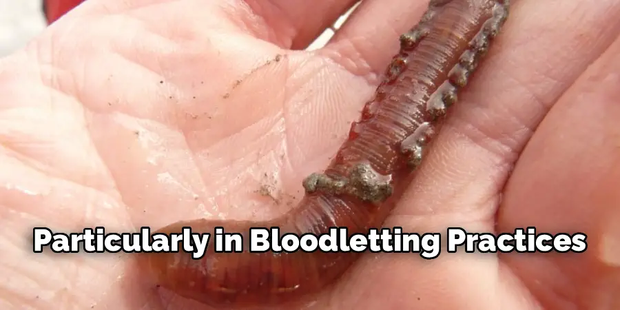 Particularly in Bloodletting Practices