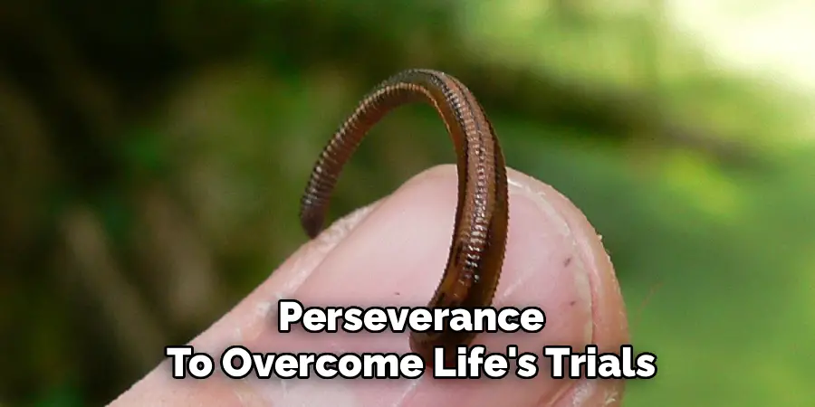 Perseverance
To Overcome Life's Trials