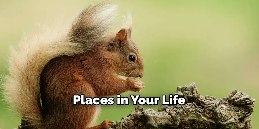 Places in Your Life