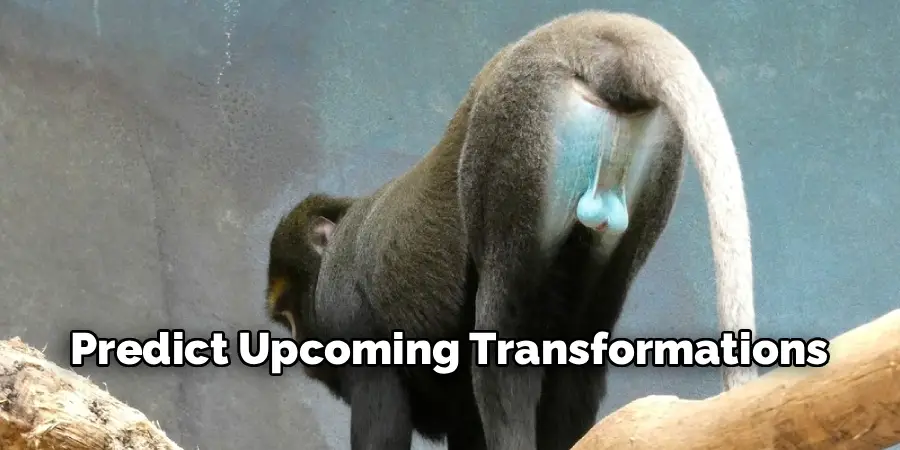 Predict Upcoming Transformations