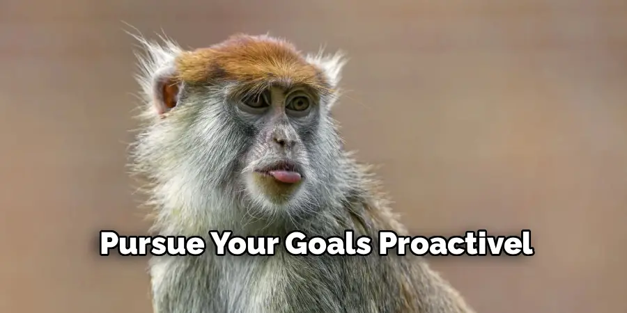 Pursue Your Goals Proactivel