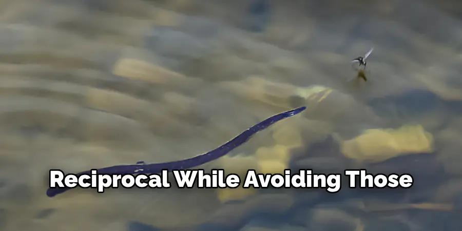 Reciprocal While Avoiding Those