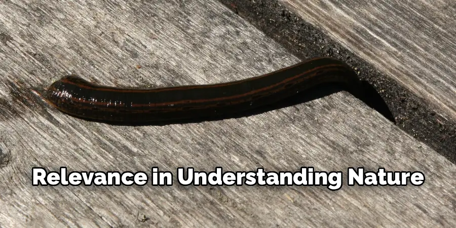 Relevance in Understanding Nature