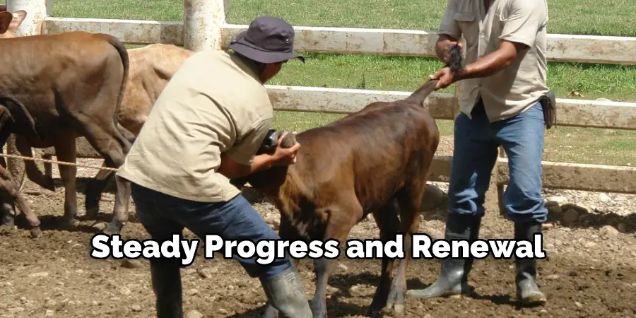 Steady Progress and Renewal