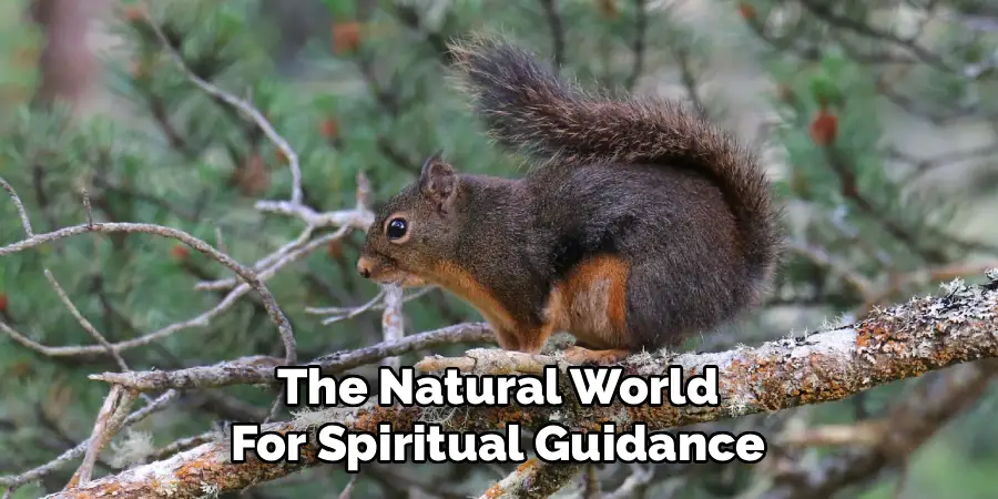 The Natural World
For Spiritual Guidance
