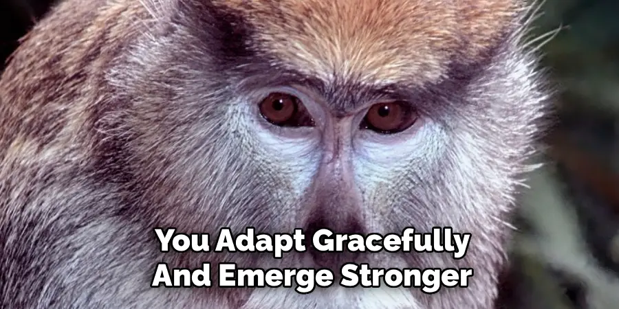 You Adapt Gracefully
And Emerge Stronger
