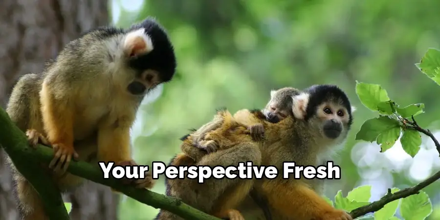 Your Perspective Fresh