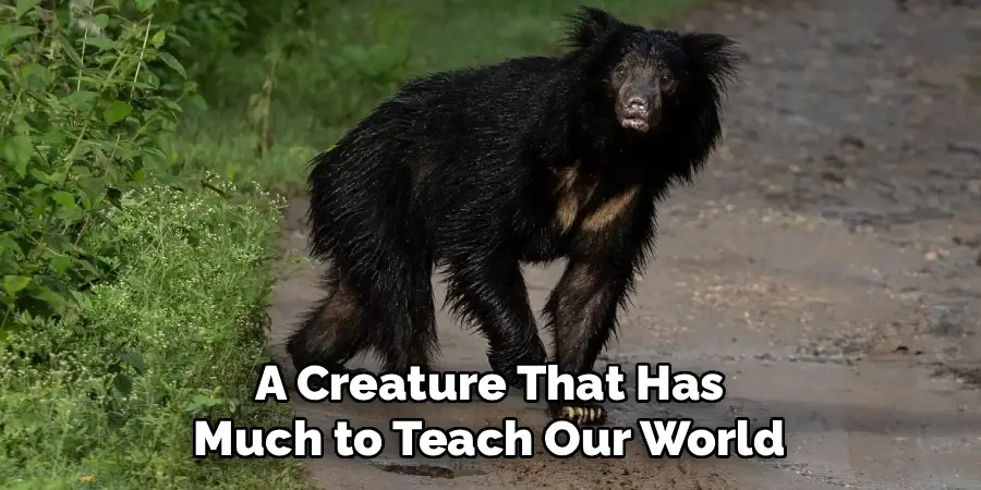 A Creature That Has
Much to Teach Our World