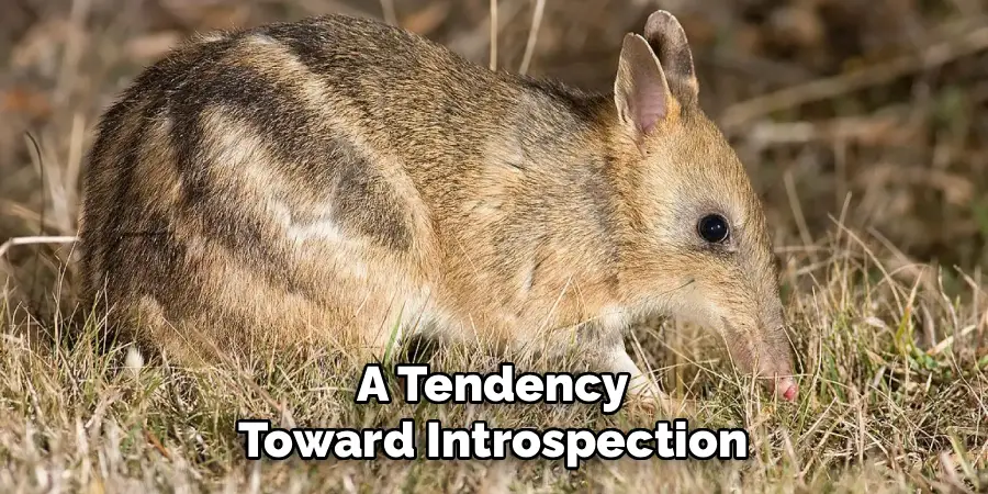 A Tendency
Toward Introspection