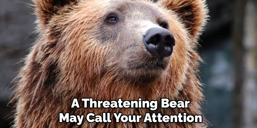 A Threatening Bear
May Call Your Attention
