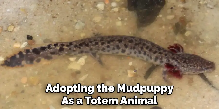 Adopting the Mudpuppy
As a Totem Animal