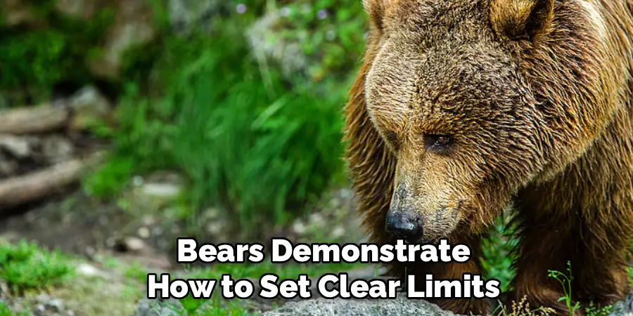 Bears Demonstrate
How to Set Clear Limits